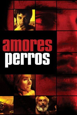 Amores perros id 007